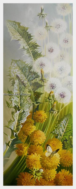 Dandelions