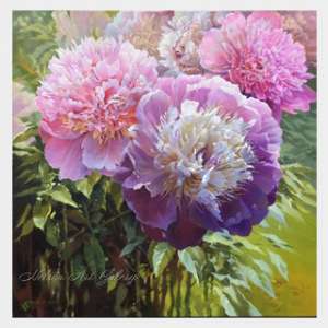 Peonies